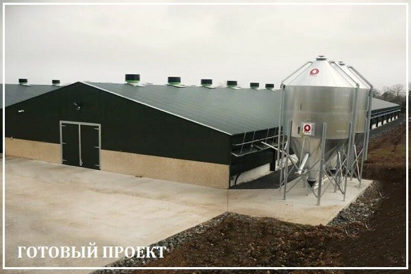 Этапы возведения птицефабрики от завода ВелесТент-кзт